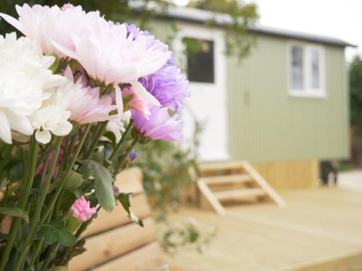 Wolstonbury Getaway Villa Hassocks Dış mekan fotoğraf